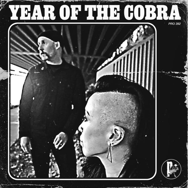 Sten's Album of the Month - February 2025 - Year of the Cobra